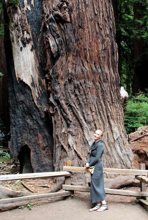 ���� ���